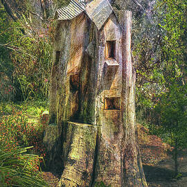 Tree House by Elaine Teague