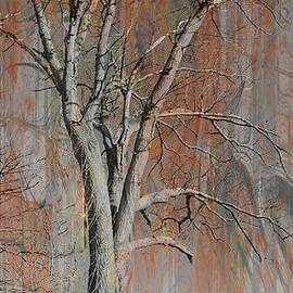 Tree of Beauty by Marcia Lee Jones