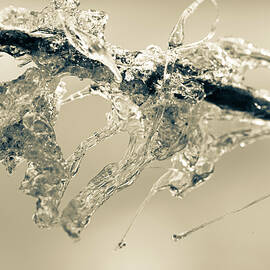 Tree Sap Abstract by Katy L