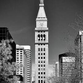 Trees In The City  -  Daniels and Fisher Tower
