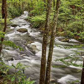 Tremont and the River in the Smoky Mountains National Park 