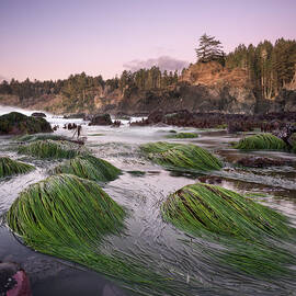 Trinidad State Beach Low Tide by William Dunigan