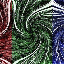 Tripping in the RGB Forest - HORIZONTAL format Psychedelic modern art forest scene by Peter Herman