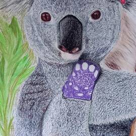 Triumph the Koala