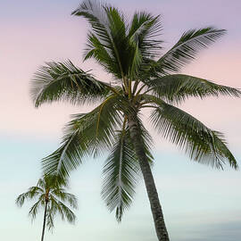Tropical Sky Hawaii by Kelly Wade