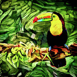 Tropical Toucan by Susan Maxwell Schmidt