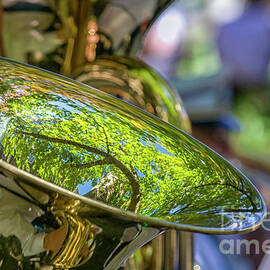 Tuba with reflection by Patricia Hofmeester