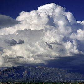 Tucson Summer by Douglas Taylor