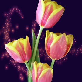 Tulip Bouquet With Magical Stars by Johanna Hurmerinta