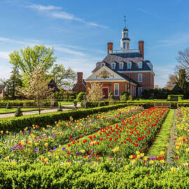 Tulip Garden at the Governor's Palace