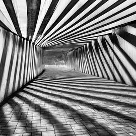 Tunnel Grid and Lines Pattern - Black and White by Matthias Hauser