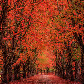 Tunnel in Red by Wes and Dotty Weber