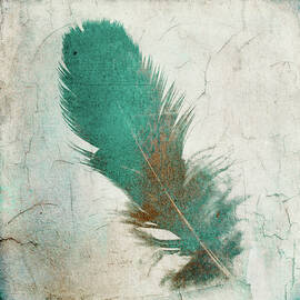 Turquoise and brown feather silhouette on distressed light gray background by Western Exposure