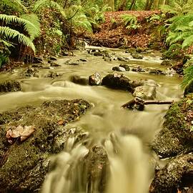 Twisel Burn Autumnal Color Long Exposure by Neil R Finlay