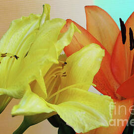 Two Lilies by Michael May