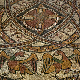 Two majestic eagles look ready for a fight in medieval mosaic, Saint-Jean de Sordes church, France by Terence Kerr