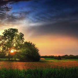 Two trees in the field by Dejan Travica