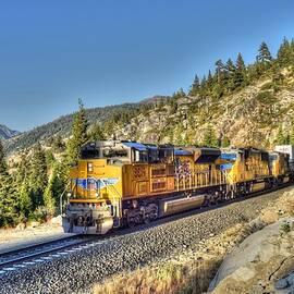 Union Pacific # 8819 by Randy Dyer