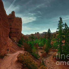 Unique View Bryce Canyon Hiking Trail  by Chuck Kuhn