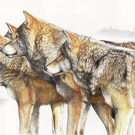 United We Stand wolf pack by Peter Williams