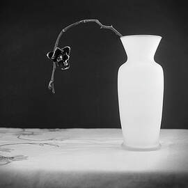 Vase and flower by Rudy Umans