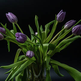 Vase of Tulips by Sharon Gucker