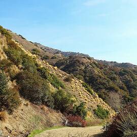 Verdugo Mountains Trail by Beverly M Collins