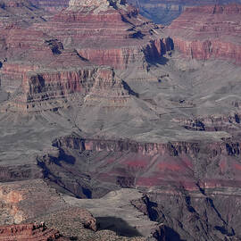 Vertical Slice of the Grand Canyon by Greta Foose