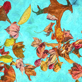 Vibrant Fallen Leaves on Water II by David Letts