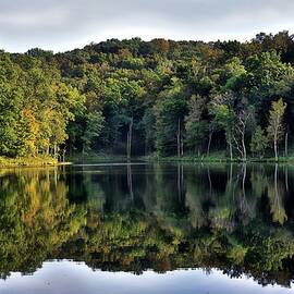 Vibrant Forest Reflection at Kentucky Lake by Christopher Hignite