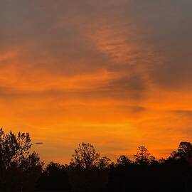 Vibrant Southern Sunrise by Matthew Seufer