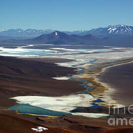 View across the Salar de Maricunga Chile by James Brunker