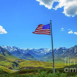 Viewing Freedom by Robert Bales