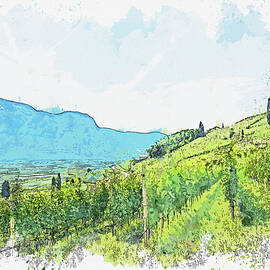 Vineyard ca by Ahmet Asar Asar Studios by Celestial Images
