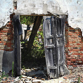 Vineyard Doors by Steven Nelson