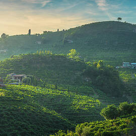 Sunset over Vineyards of Prosecco by Stefano Orazzini