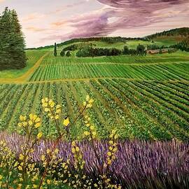 Vineyards, oregon by Allio Jenny