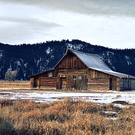 Vintage Barn In November by Michael Morse