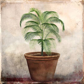 Vintage potted tropical palm by Western Exposure