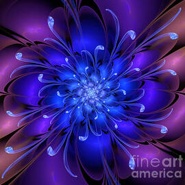 Violet-blue macro flower. by Larissa Antonova