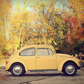 VW Beetle Autumn