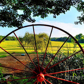 Wagon Wheel and Garden by Ann Pride