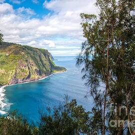 Waipio Valley Paradise by Jennifer Jenson