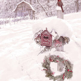 Waiting for Country Christmas Cards by Debra and Dave Vanderlaan