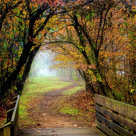 Walk into the Misty Morning by Debra and Dave Vanderlaan