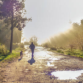 Walking into the morning mist by Dubi Roman