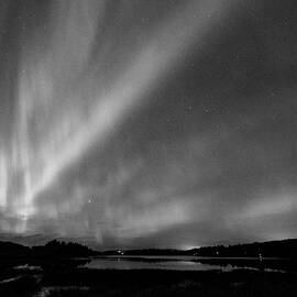 Walking lights. Aurora borealis September 2023 7 bw by Jouko Lehto
