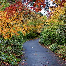 Walking path through the autumn park  by Alex Lyubar