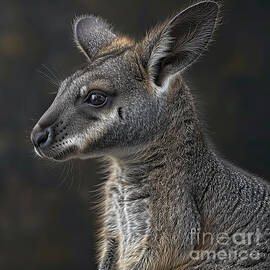 Wallaby Profile by Elisabeth Lucas