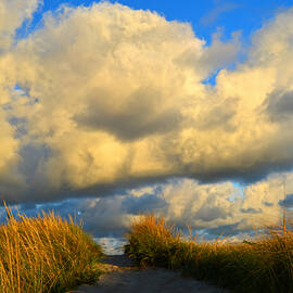 Wandering Clouds by Dianne Cowen Photography